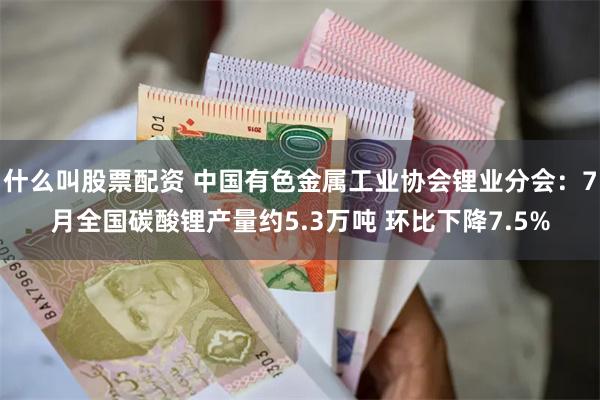 什么叫股票配资 中国有色金属工业协会锂业分会：7月全国碳酸锂产量约5.3万吨 环比下降7.5%