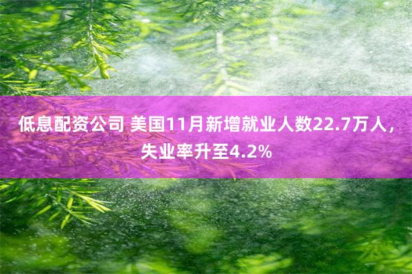 低息配资公司 美国11月新增就业人数22.7万人，失业率升至4.2%