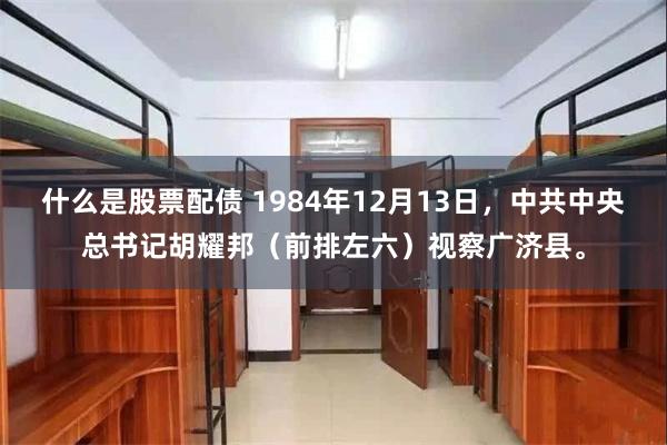 什么是股票配债 1984年12月13日，中共中央总书记胡耀邦（前排左六）视察广济县。