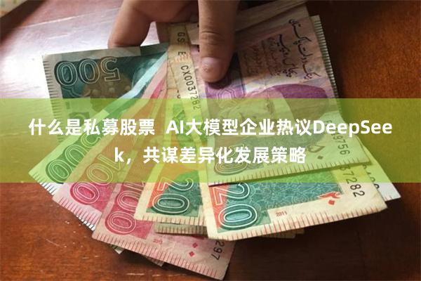 什么是私募股票  AI大模型企业热议DeepSeek，共谋差异化发展策略