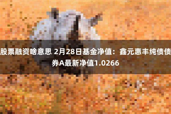 股票融资啥意思 2月28日基金净值：鑫元惠丰纯债债券A最新净值1.0266